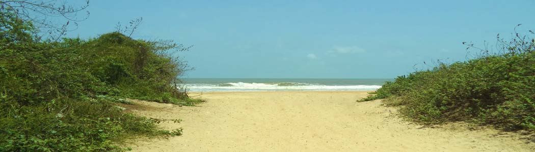 Benaulim Beach Main