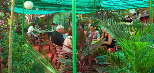 Guests in the Garden