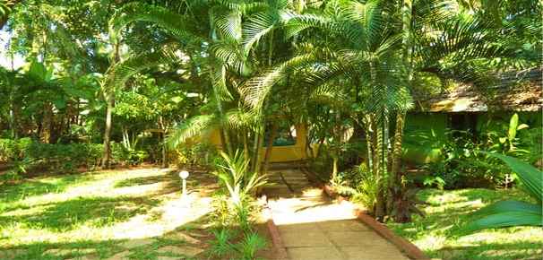 Garden Room and nature